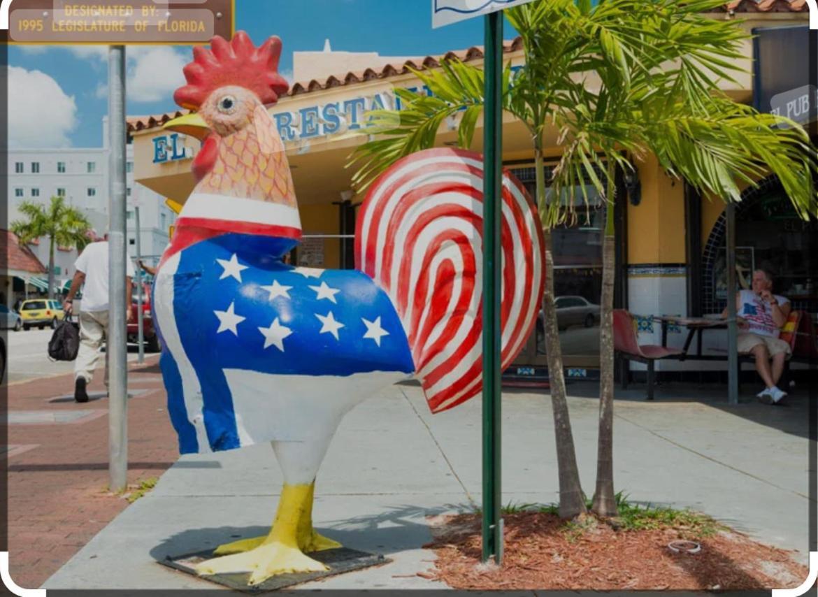 Little Havana Hostel Miami Ngoại thất bức ảnh
